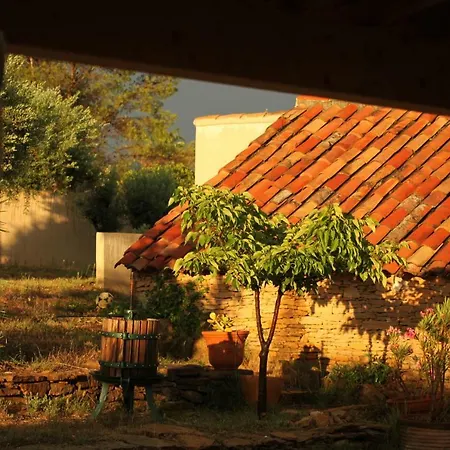 Simple Guest house *