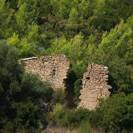 Simple Guest house *